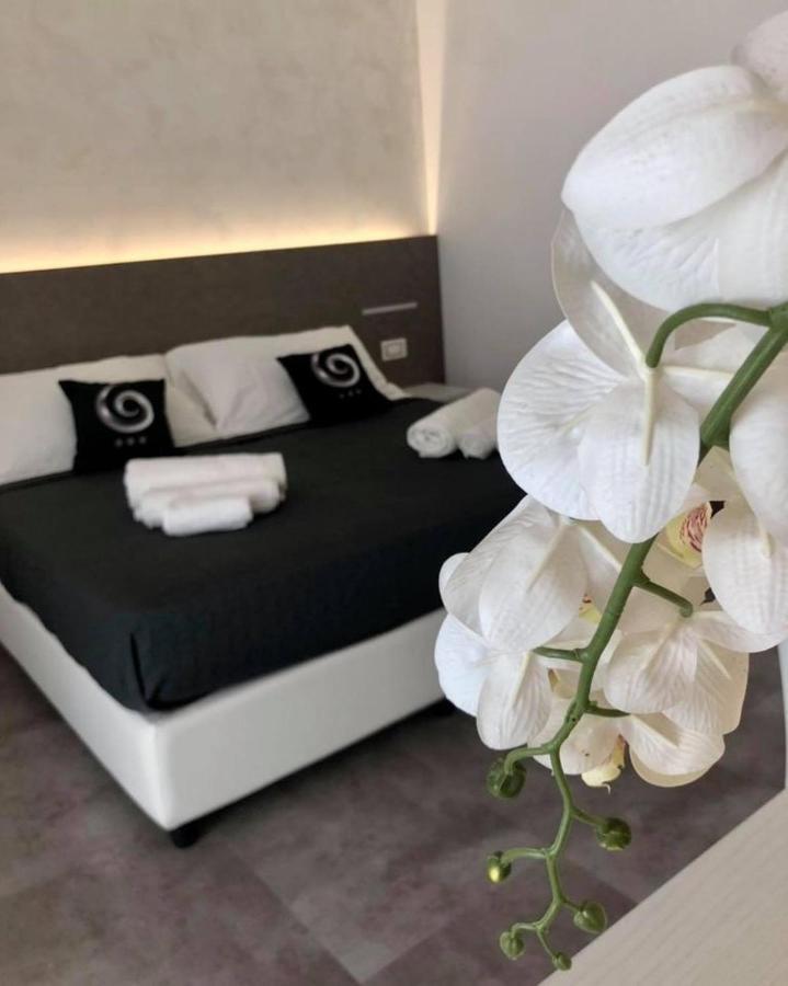 Sesto Senso Home Santa Maria Del Cedro Dış mekan fotoğraf